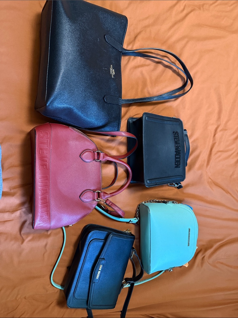 Steve Madden and Coach bundle. All in gently used condition, almost new.